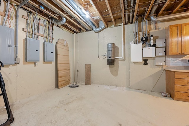 basement featuring electric panel