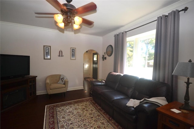 living room featuring dark wood-type flooring, ceiling fan, and ornamental molding