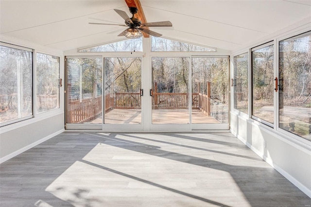 unfurnished sunroom featuring ceiling fan, a healthy amount of sunlight, and lofted ceiling