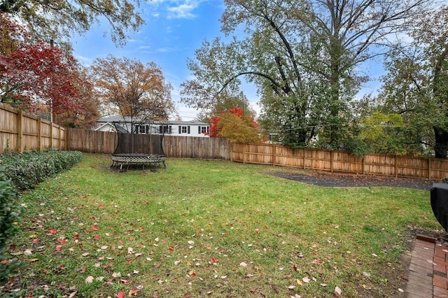 view of yard with a trampoline