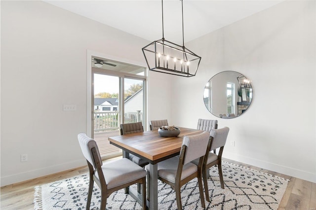 dining room with light hardwood / wood-style floors and ceiling fan with notable chandelier