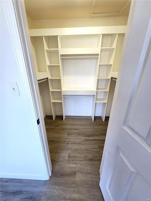 spacious closet with dark wood-type flooring