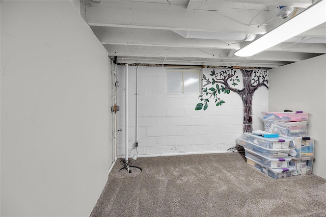 basement with carpet flooring