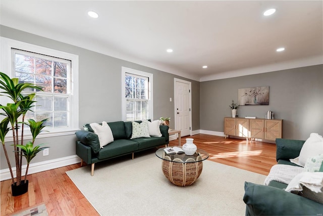 living room with hardwood / wood-style flooring and a wealth of natural light