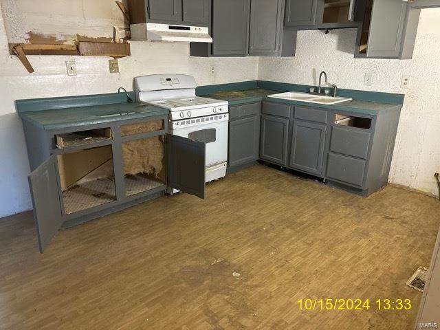 kitchen with dark hardwood / wood-style flooring, extractor fan, gray cabinetry, and white range oven