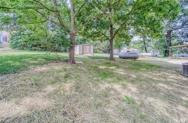 view of yard featuring a storage unit