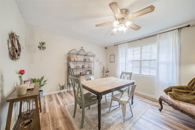 dining space with light hardwood / wood-style floors and ceiling fan