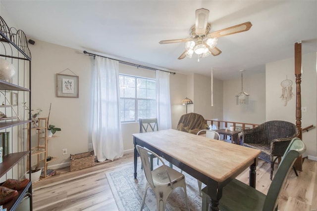 dining area with light hardwood / wood-style floors and ceiling fan