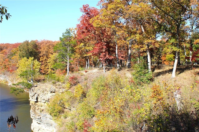 view of landscape featuring a water view