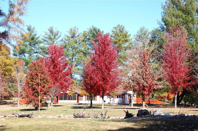 view of yard