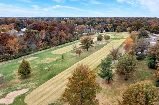 bird's eye view