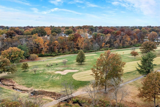 surrounding community featuring a lawn