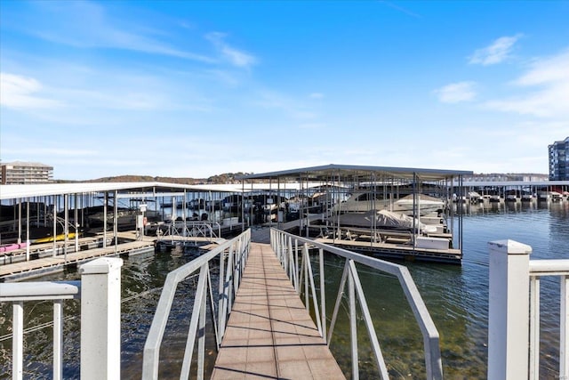 dock area with a water view