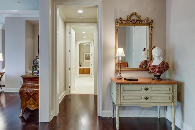 hallway with crown molding and dark hardwood / wood-style floors