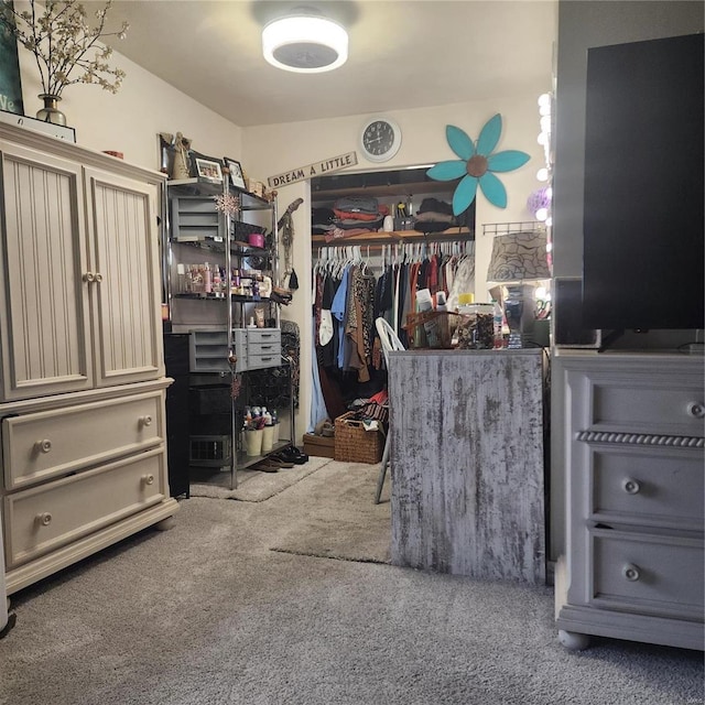 spacious closet with carpet floors