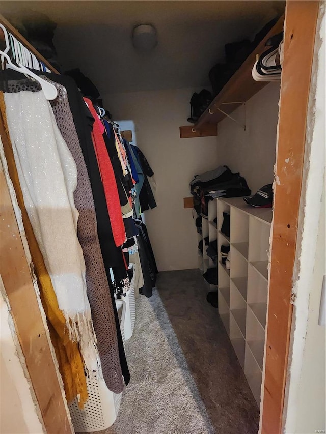 view of walk in closet