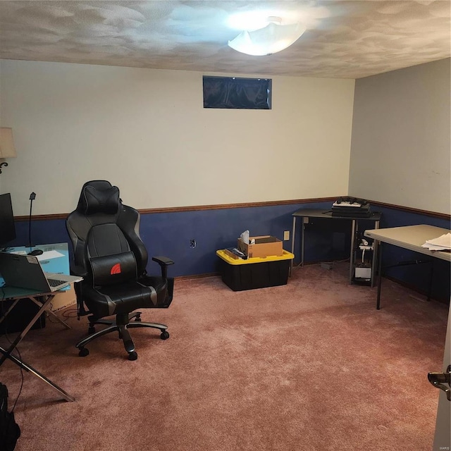 office space featuring carpet and a textured ceiling