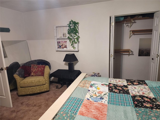 bedroom with carpet floors and a closet