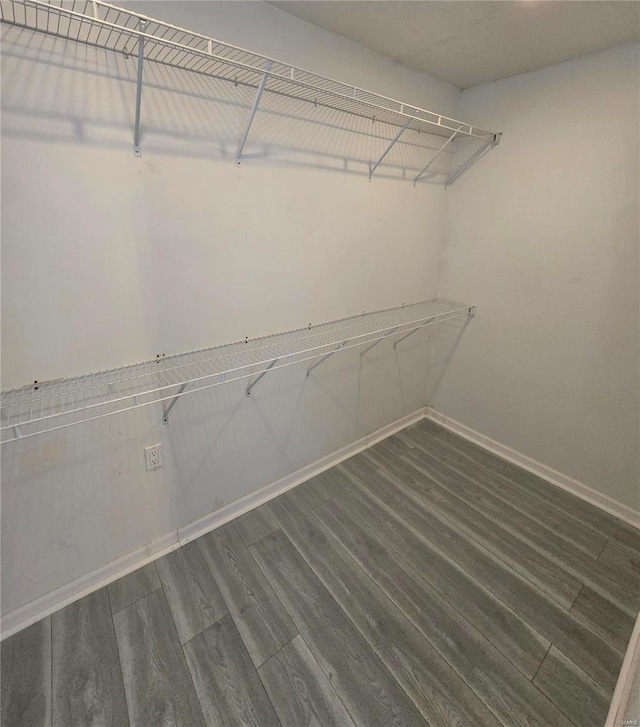 walk in closet featuring wood finished floors