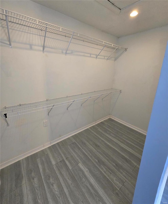 walk in closet with dark wood finished floors