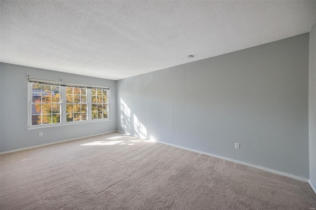 spare room featuring carpet flooring and a textured ceiling