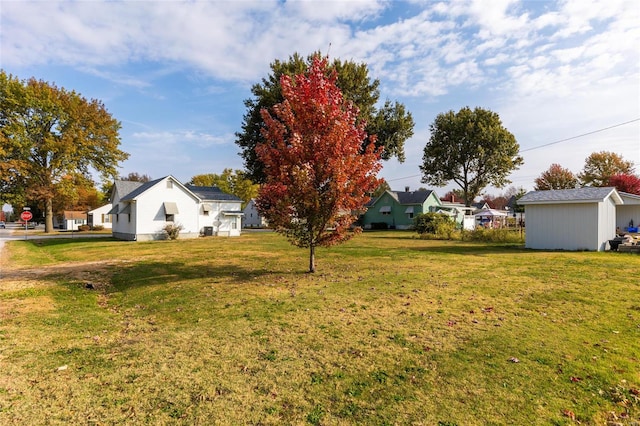 view of yard featuring a shed