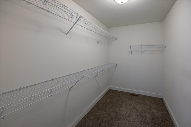 walk in closet featuring carpet