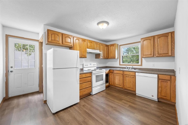 kitchen featuring hardwood / wood-style flooring, white appliances, and a wealth of natural light