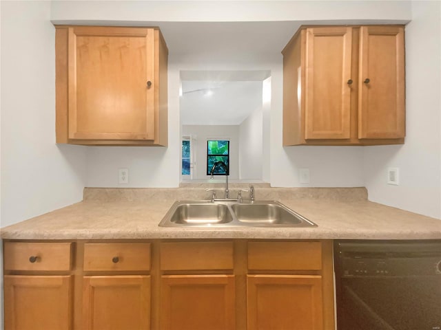 kitchen featuring black dishwasher and sink