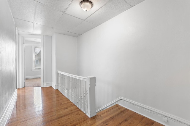 hall with a drop ceiling and wood-type flooring