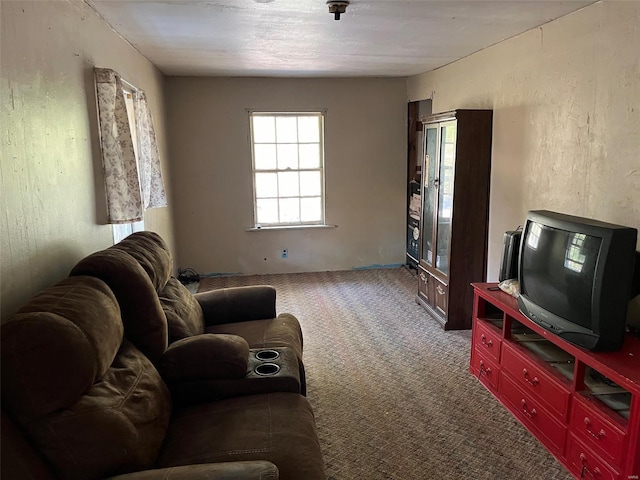 living room featuring carpet flooring