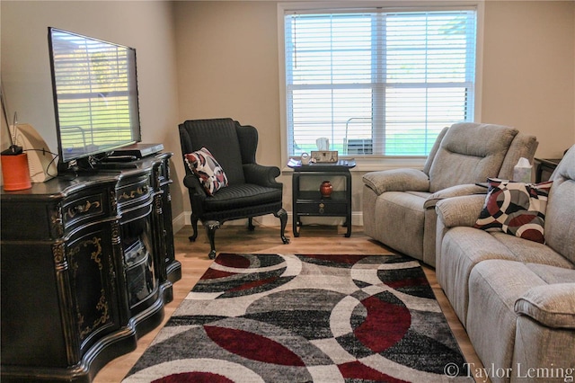 living room with light wood-type flooring