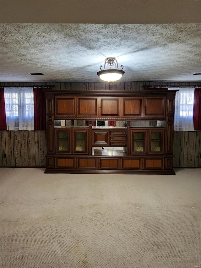 interior space featuring a textured ceiling, a wealth of natural light, and wooden walls