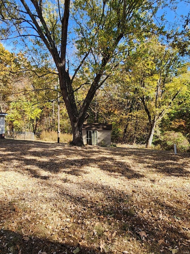 view of yard with a storage shed