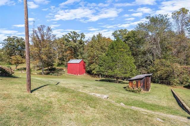 view of yard with a storage unit