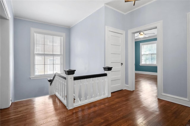 interior space with crown molding and dark hardwood / wood-style floors