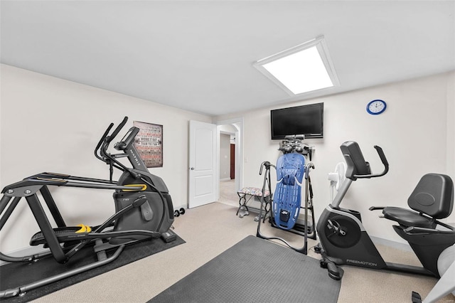 exercise area featuring light carpet