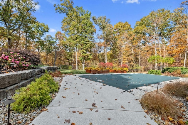 view of swimming pool featuring a patio area