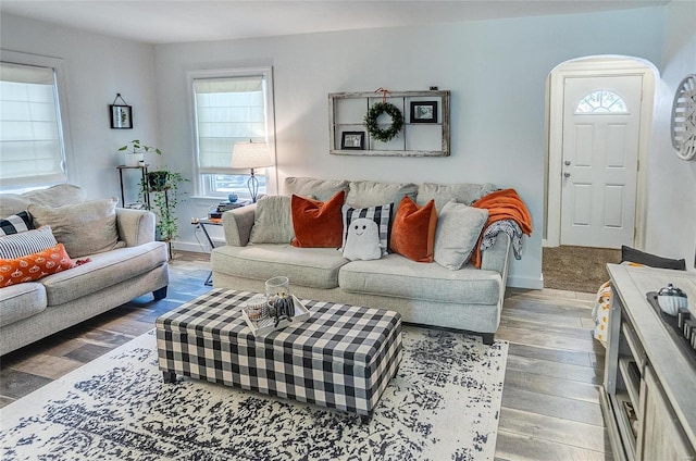 living room with dark hardwood / wood-style flooring