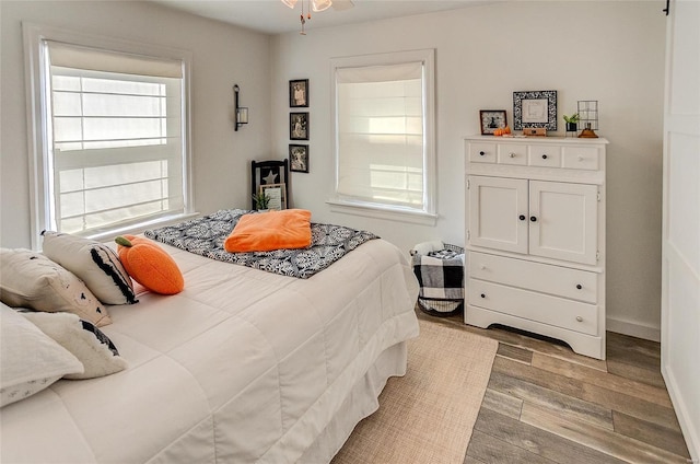 bedroom featuring multiple windows and light hardwood / wood-style floors