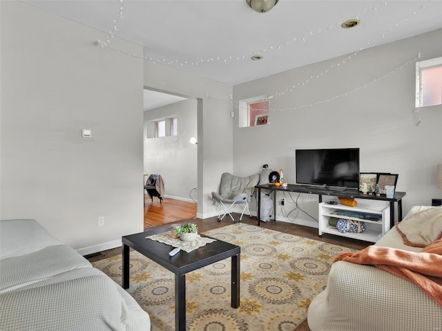 living room with wood-type flooring