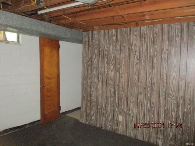 basement with wooden walls