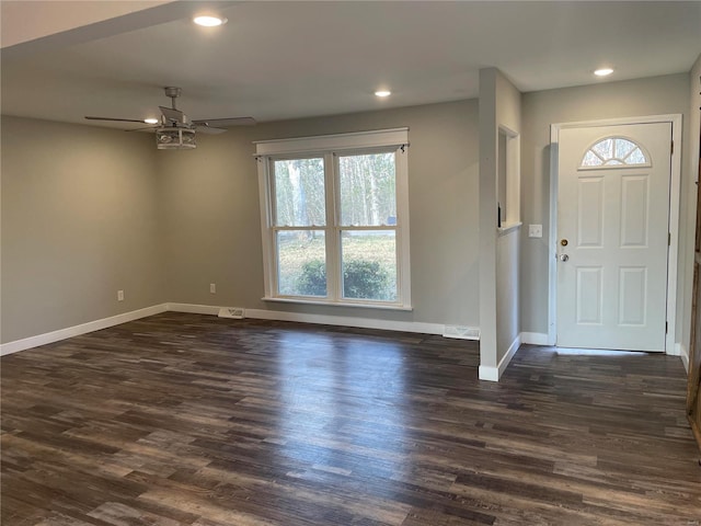 foyer featuring dark hardwood / wood-style flooring, a wealth of natural light, and ceiling fan