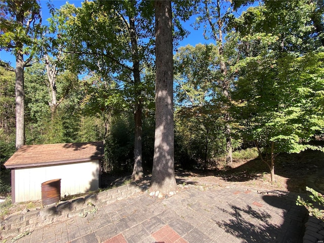 view of yard featuring a storage unit