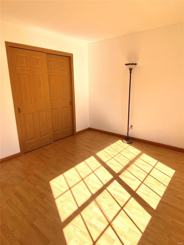 spare room featuring wood-type flooring