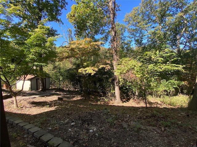 view of yard with a shed