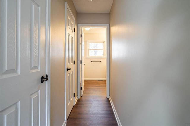 hallway featuring dark hardwood / wood-style flooring