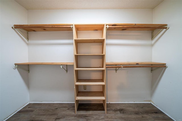 spacious closet with dark wood-type flooring