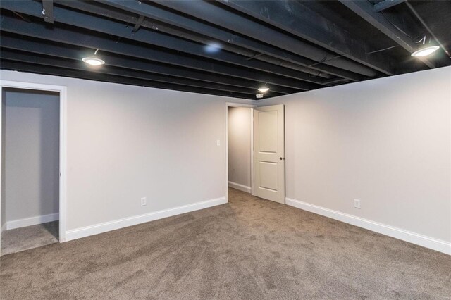 basement featuring carpet