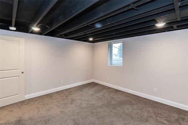 basement featuring carpet floors